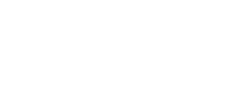 101