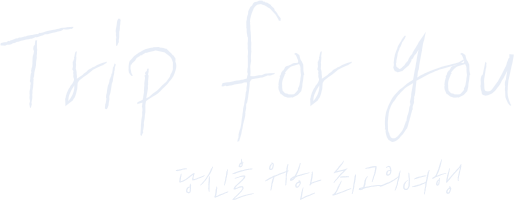 Trip for you 당신을 위한 최고의 여행